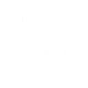 weapons: pistols