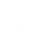 weapons: rectifier